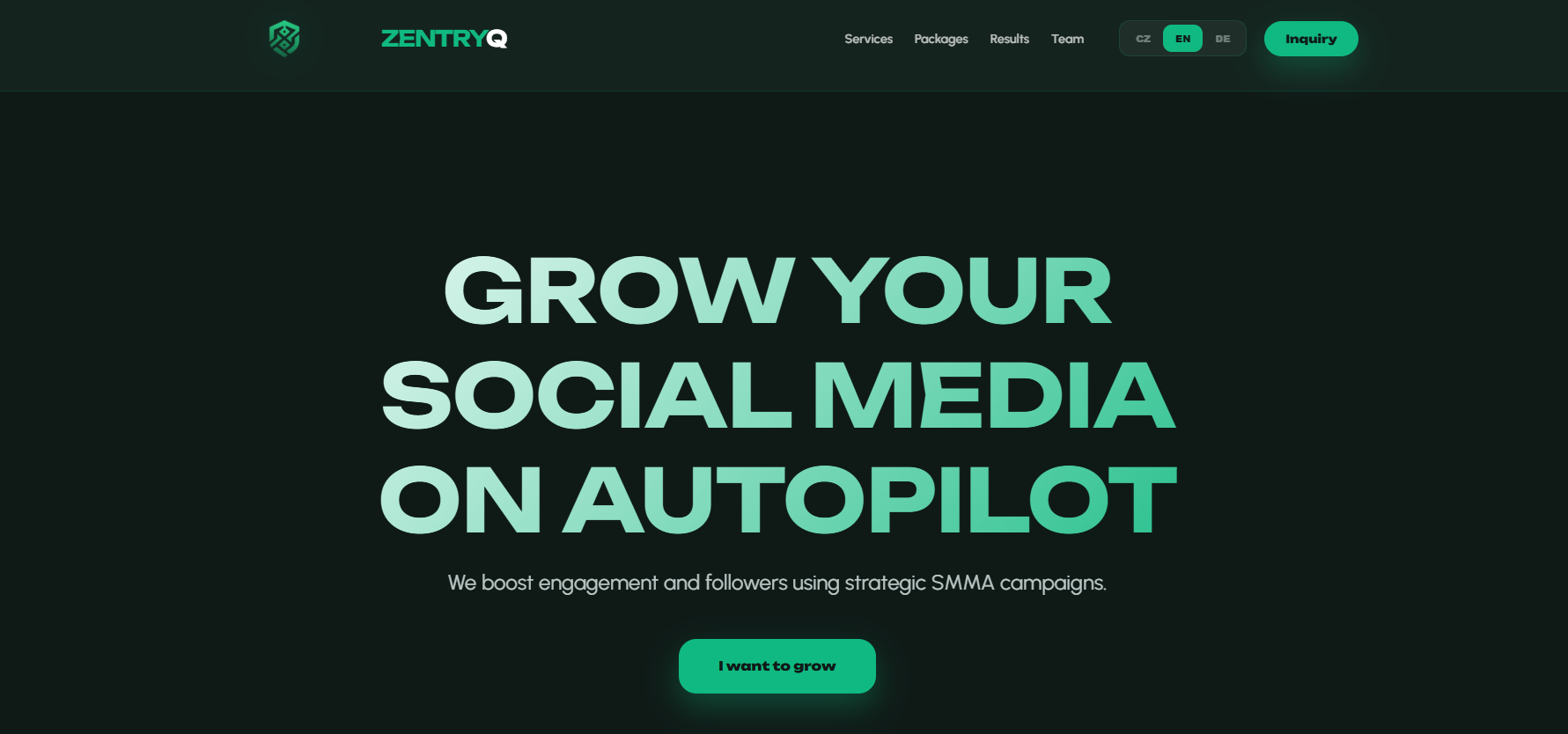 Nahled projektu ZentryQ